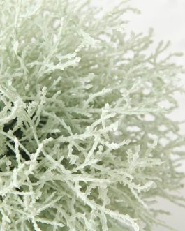 Decorative grass ball